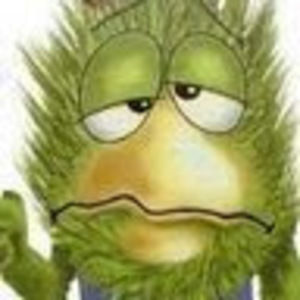 Meet your Posher, Klc